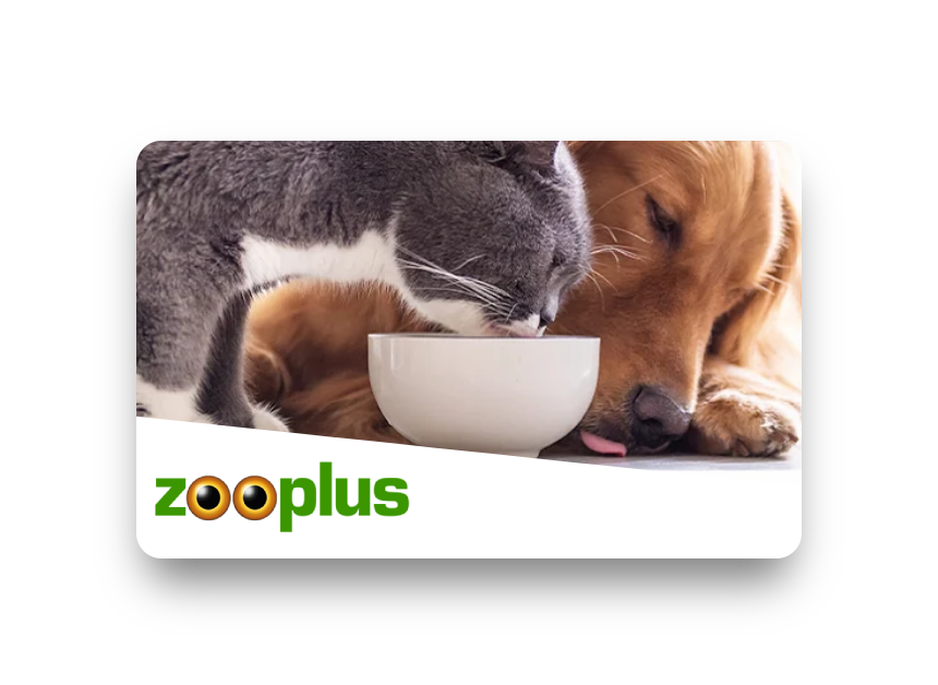 Dieses Bild zeigt einen Preis